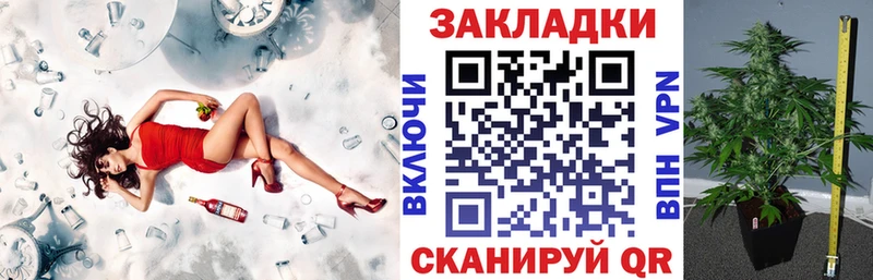 Где купить наркоту Северобайкальск МЕТАДОН  КОКАИН  Амфетамин  ГАШИШ  Каннабис 
