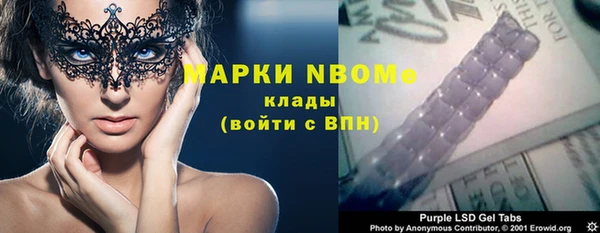 шишки Верхний Тагил