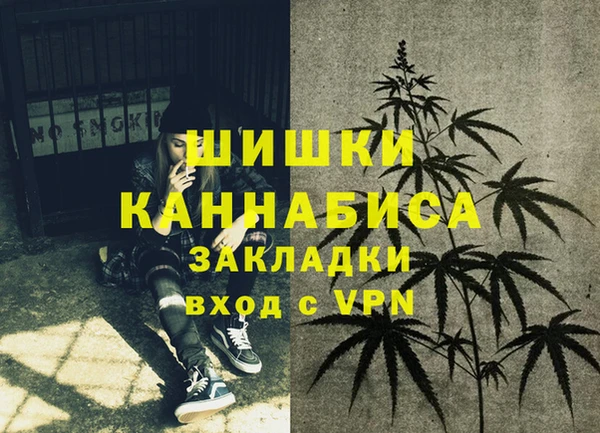 тгк Верея