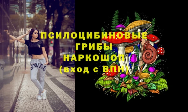 тгк Верея