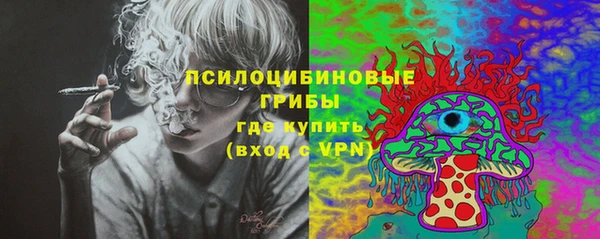 шишки Верхний Тагил