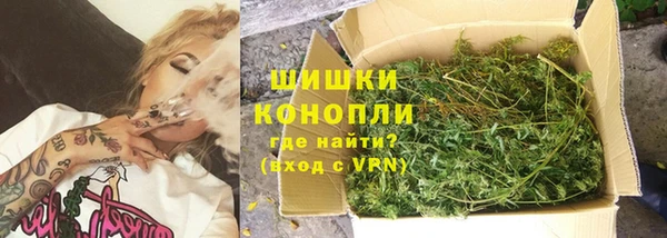 шишки Верхний Тагил