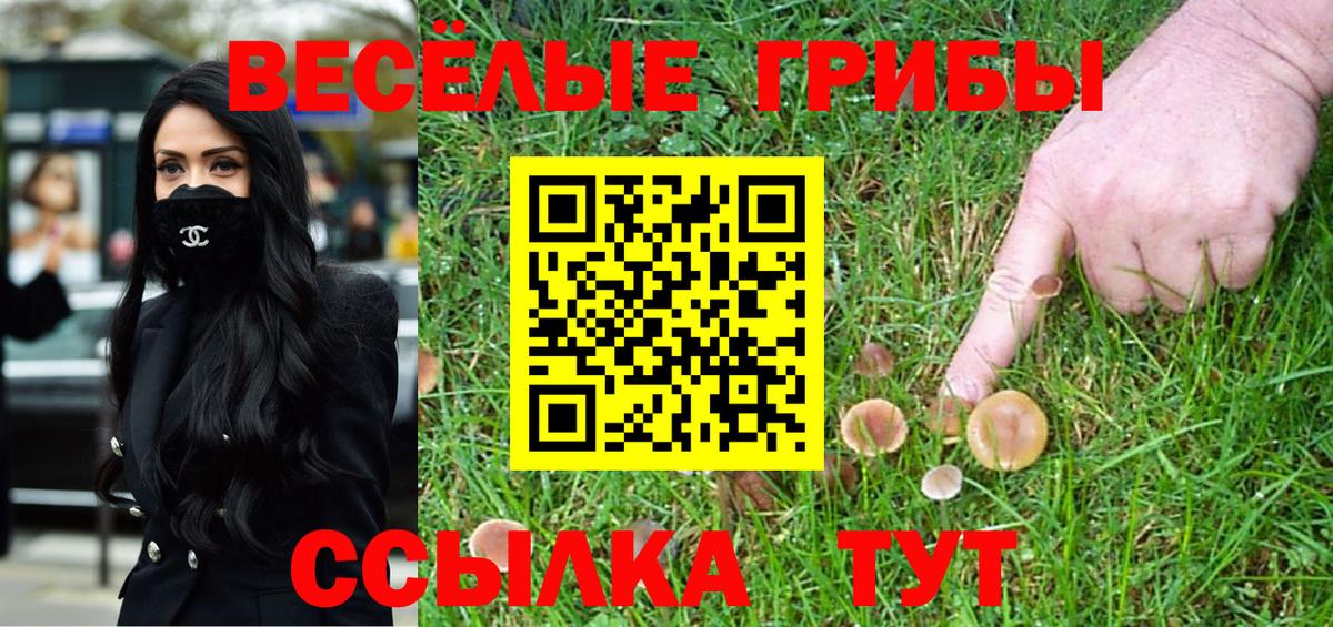 Северобайкальск  Галлюциногенные грибы прущие грибы  дарнет шоп  Вход с VPN 